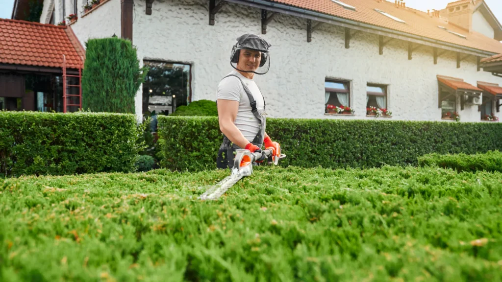 تنسيق الحدائق